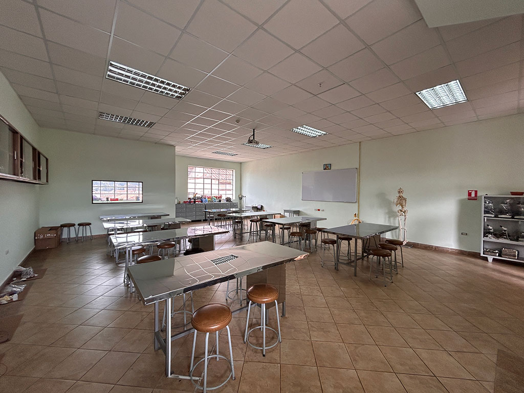 Experimentos de química