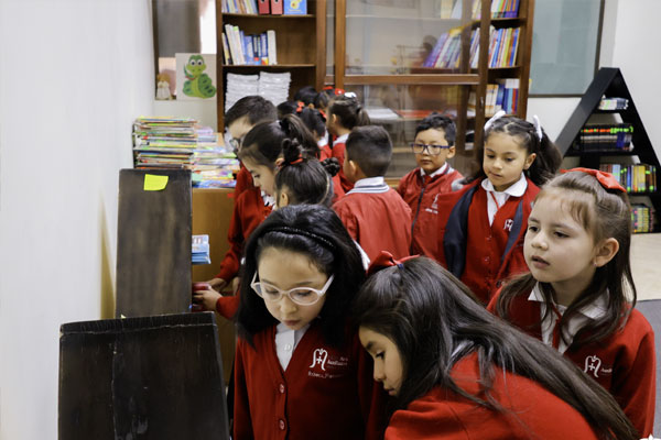 Niños en educación básica en el aula